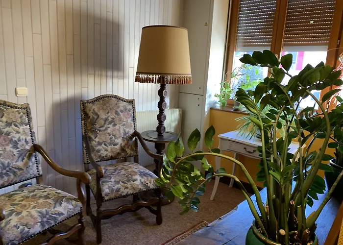 Hôtel des Vosges 5 rue de la gare